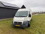 Fiat Ducato 30 2.3 JTD M H2 2007 export, Voorwielaandrijving, Stof, 2500 kg, Wit