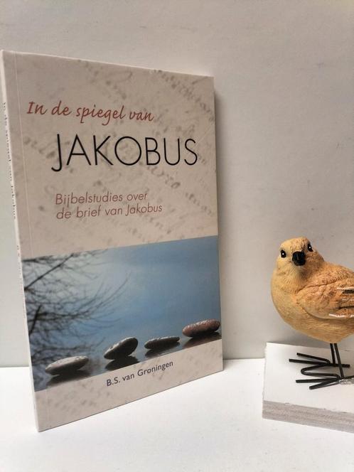 Groningen, B.S.; In de spiegel van Jakobus, Boeken, Godsdienst en Theologie, Gelezen, Christendom | Protestants, Ophalen of Verzenden