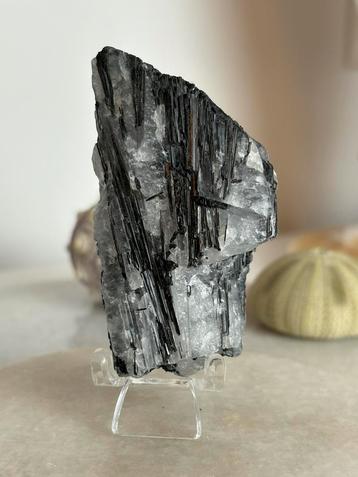 Zwarte toermalijn in kwarts beschikbaar voor biedingen