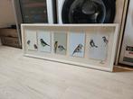 Ikea Olunda vogels, Huis en Inrichting, Ophalen, Minder dan 50 cm, Zo goed als nieuw, Minder dan 50 cm
