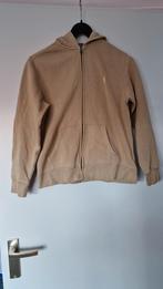 Ralph Lauren Hoodie Maat L (14-16), Ophalen of Verzenden, Zo goed als nieuw, Ralph Lauren, Jongen of Meisje