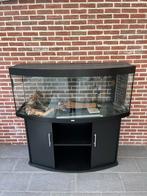 Aquarium Juwel Vision 450, Dieren en Toebehoren, Ophalen, Gebruikt, Leeg aquarium