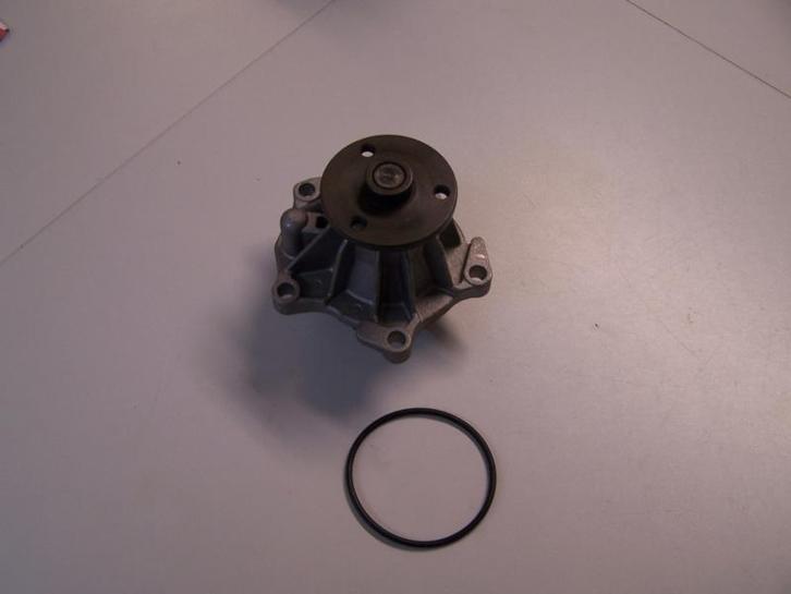 Waterpomp Ford Escort Cosworth RS2000 Nieuw, Auto diversen, Overige Auto diversen, Ophalen of Verzenden
