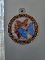 Vlinder morpho schilderij in lijst, Ophalen, Zo goed als nieuw