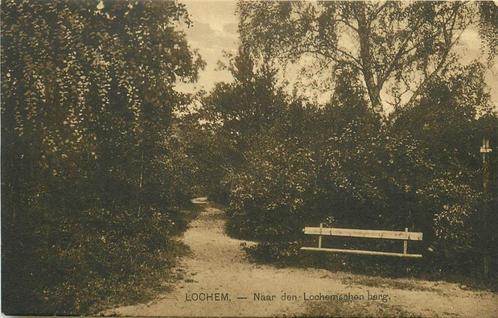 (387-098-017) Lochem Naar den Lochemschen berg, Verzamelen, Ansichtkaarten | Nederland, Gelderland, Verzenden