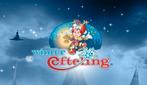 8 e-tickets Unox dag Efteling 17-01-2026 ( los ook mogelijk), Tickets en Kaartjes, Drie personen of meer, Ticket of Toegangskaart