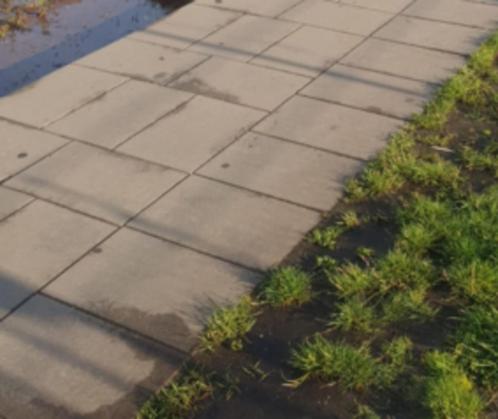 Gebruikte betontegels, tuintegels, terrastegels grijs, Tuin en Terras, Tegels en Klinkers, Gebruikt, Terrastegels, Beton, 10 m² of meer