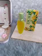 parfumminiatuur met doosje sunny frutti escada, Ophalen, Zo goed als nieuw, Miniatuur, Gevuld