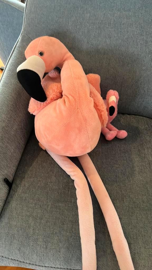 Flamingo, Dieren en Toebehoren, Reptielen en Amfibieën, 0 tot 2 jaar