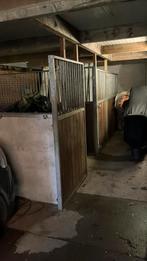 Paardestallen met weiland 2,8ha Almelo te huur, Dieren en Toebehoren, Stalling en Weidegang, Weidegang, 2 of 3 paarden of pony's