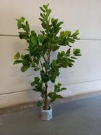 kunstplant  bloesem  van 1.50 mtr Fijnbladerige LYRATA boom, Huis en Inrichting, Binnen, Ophalen of Verzenden