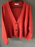 Bruine vest van By-bar, Kleding | Dames, By bar, Bruin, Maat 46/48 (XL) of groter, Ophalen of Verzenden