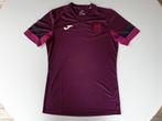 Paars trainingsshirt Anderlecht (Joma, S) (1), Ophalen of Verzenden, Gebruikt, Buitenlandse clubs, Shirt