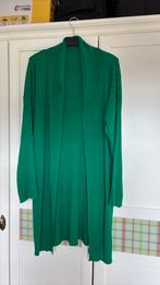Dames vest, Ophalen of Verzenden, Nieuw, Maat 42/44 (L)