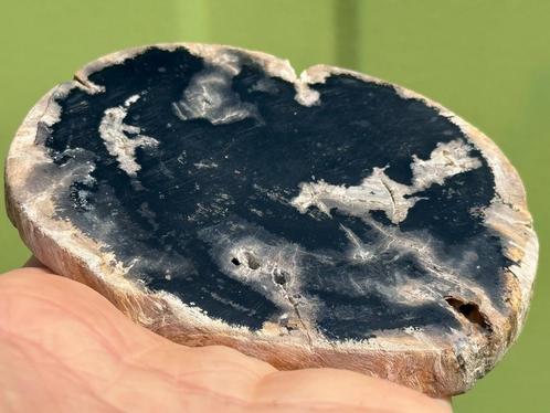 Versteend hout schijf plak dubbel gepolijst mineralen 21, Verzamelen, Mineralen en Fossielen, Mineraal, Ophalen of Verzenden
