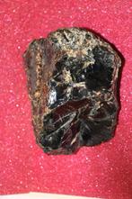 Amber, Ophalen of Verzenden, Fossiel