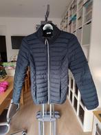 Bristol gewatteerde jas - Maat M - Blauw, Kleding | Dames, Maat 38/40 (M), Blauw, Ophalen of Verzenden, Zo goed als nieuw