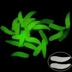 Te koop 50 kunst maden 1.6 Cm glow in the dark nieuw
deze ma, Ophalen of Verzenden, Nieuw, Kunstaas