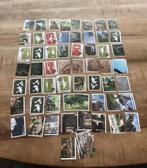 Coop Dinosaurus stickers, Ophalen of Verzenden, Zo goed als nieuw, Meerdere stickers