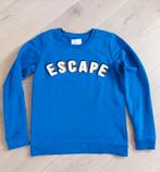 Anti Blue sweater, blauw S met gave opdruk, Anti Blue, Blauw, Ophalen of Verzenden, Maat 36 (S)