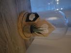 Decoratie, Ophalen, Zo goed als nieuw, Rond, Hout