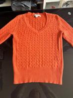Tommy Hilfiger Trui Maat XS, Oranje, Ophalen of Verzenden, Maat 34 (XS) of kleiner, Gedragen