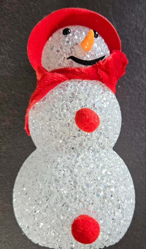 Leuke LED sneeuwpop, Diversen, Kerst, Ophalen, Zo goed als nieuw