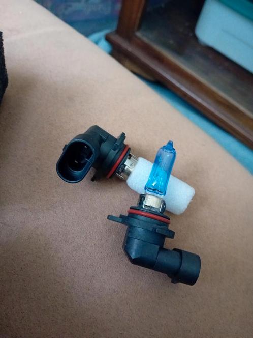 Halogeen motor lampen/ empoules, Fietsen en Brommers, Brommers | Toebehoren, Nieuw, Ophalen of Verzenden