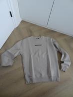 Sweater Ashes to Dust the Sting, maat S, Kleding | Heren, Ophalen of Verzenden, Zo goed als nieuw, Maat 46 (S) of kleiner, Ashes to dust