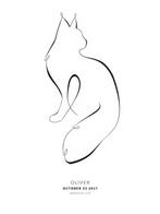 Gezocht main coon kitten, Poes