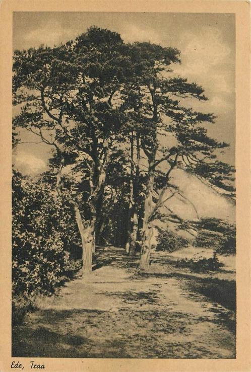 (387-110-023) Ede, Verzamelen, Ansichtkaarten | Nederland, Gelderland, Voor 1920, Verzenden