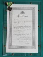 Oorkonde Tiendaagse Veldtocht 1831., Ophalen of Verzenden, Landmacht, Nederland