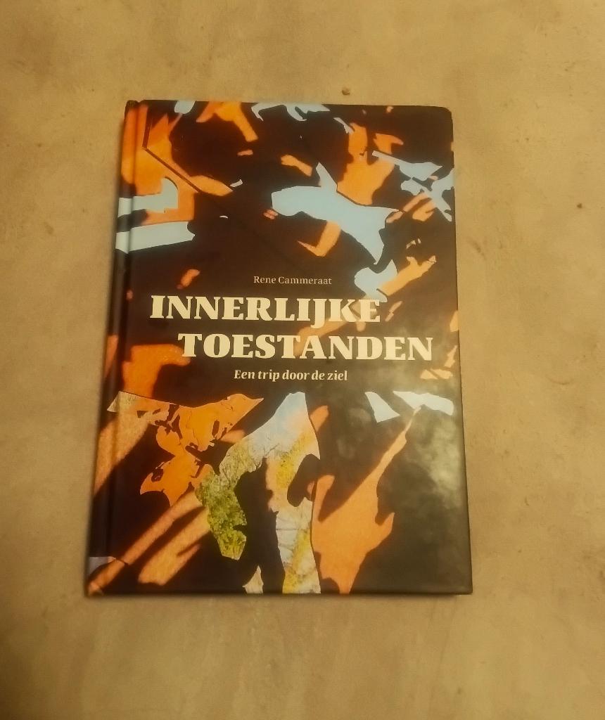 Roman Innerlijke toestanden - Rene Cammeraat, Boeken, Romans, Gelezen, Nederland, Ophalen of Verzenden