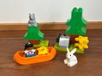 Duplo bos dieren konijn eekhoorn met kano en meisje, Ophalen of Verzenden, Zo goed als nieuw, Complete set, Duplo