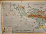 Oude schoolplaat Nederlands Nieuw Guinea, Ophalen of Verzenden, Aardrijkskunde