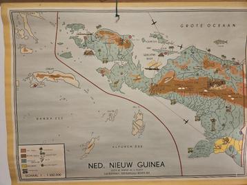Oude schoolplaat Nederlands Nieuw Guinea beschikbaar voor biedingen