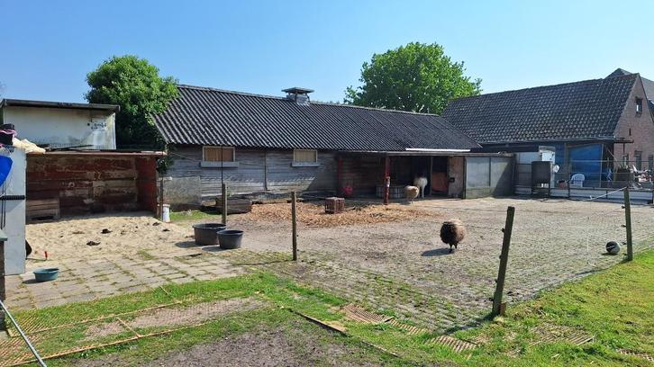 Th, Shetlander- stalling in Westbroek., Dieren en Toebehoren, Stalling en Weidegang, Stalling, Weidegang