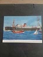 AUSTRALIA STAR , blue star liner, Ophalen of Verzenden