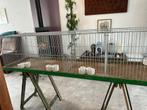 Show / Trainingskooien, Dieren en Toebehoren, Vogels | Duiven, Meerdere dieren, Overige soorten