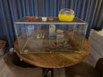 Terrarium voor (dwerg)hamster, Dieren en Toebehoren, Gebruikt, Ophalen, Minder dan 60 cm, Hok