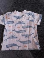 Lichtgrijs walvis tshirt maat 56 h, Kinderen en Baby's, Babykleding | Maat 56, Shirtje of Longsleeve, Noppies, Ophalen of Verzenden