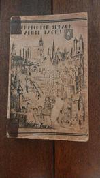 MAASTRICHTSE TAAL: Mestreechter spraok, doe zeute taol!, Ophalen of Verzenden, Gelezen, Overige onderwerpen