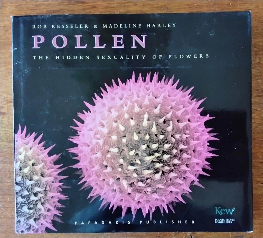 ROB KESSELER   POLLEN, Ophalen of Verzenden, Gelezen