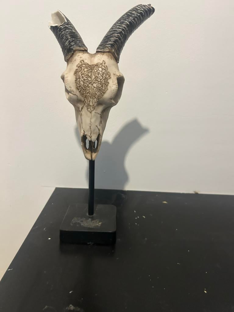 Decoratieve Geitenschedel op Standaard - Uniek Kunstwerk, Ophalen