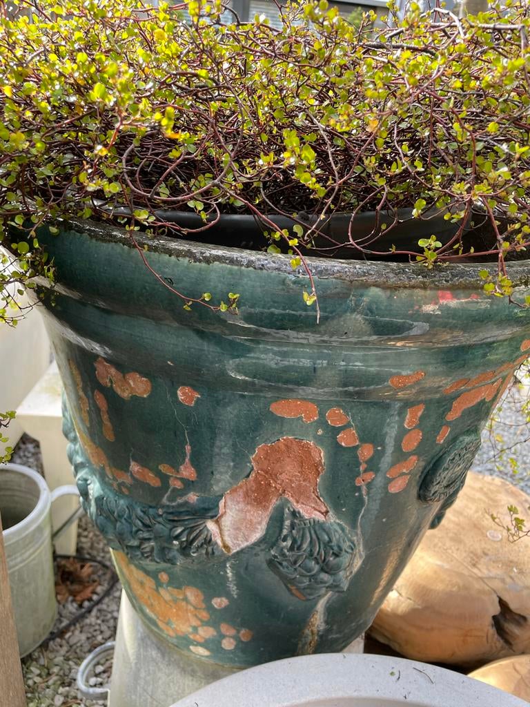 Grote ANDUZE pot - Geleefd door de 4 seizoenen, Tuin en Terras, Ophalen, Gebruikt, 40 cm of meer, Rond