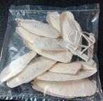 Sepia met houders, Dieren en Toebehoren, Ophalen of Verzenden, Nieuw, Overige typen