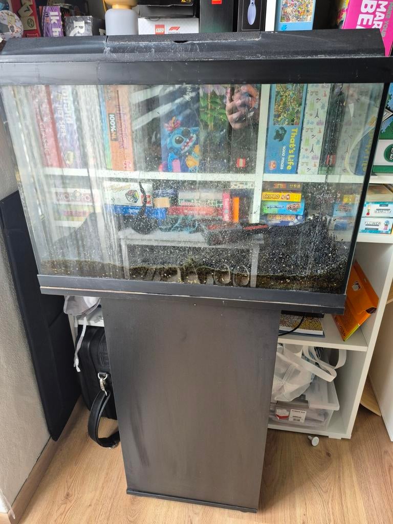 Juwel aquarium, Dieren en Toebehoren, Ophalen