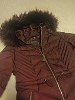 guess winterjas, Nieuw, Ophalen, Maat 38/40 (M), Overige kleuren