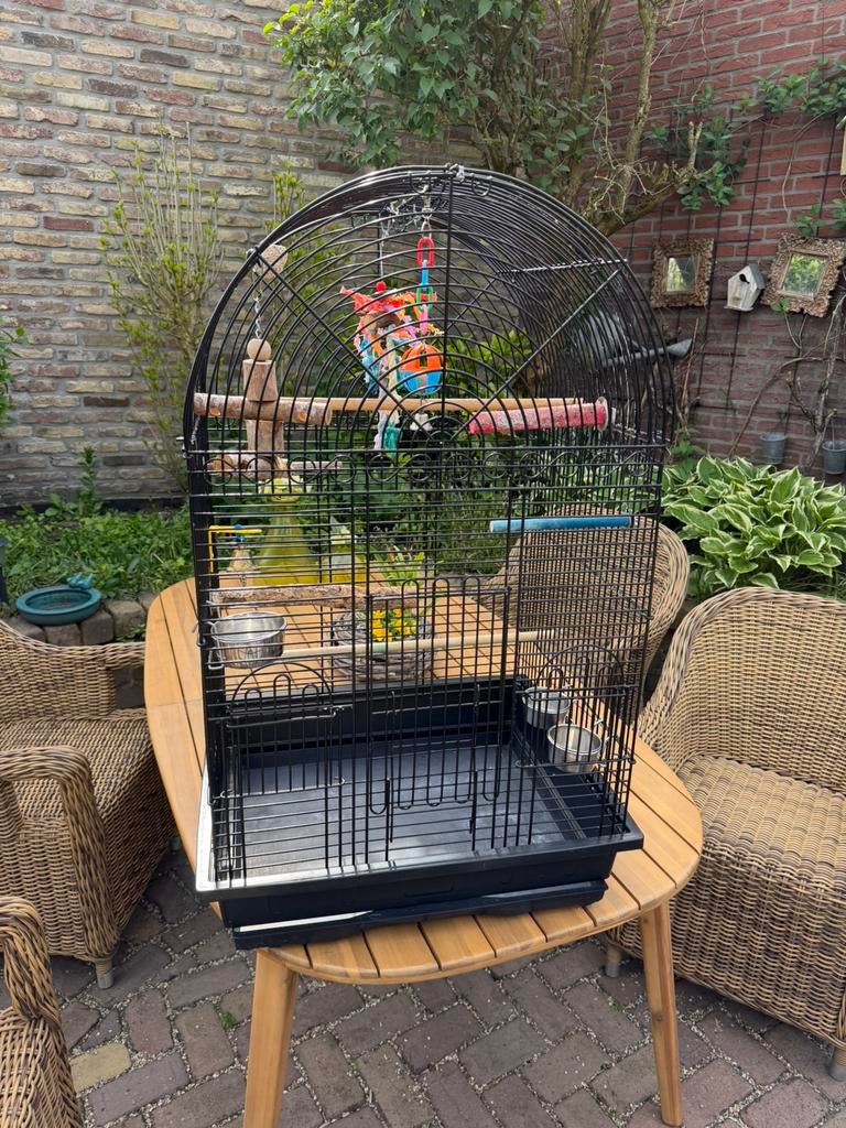 Parieten of papegaaien kooi, Dieren en Toebehoren, Ophalen, Zo goed als nieuw, Metaal, Vogelkooi