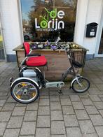 VanRaam EasyGo driewielfiets scootmobiel, Ophalen of Verzenden, Zo goed als nieuw